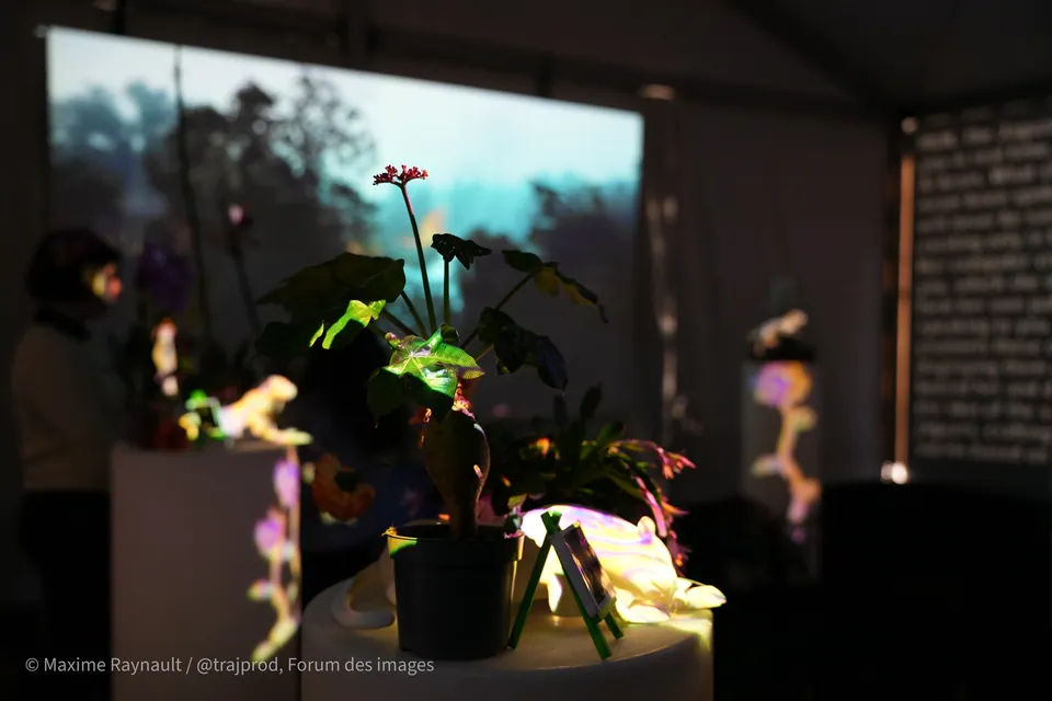 Plantas y figuras luminosas sobre pedestales frente a la proyección de un bosque.