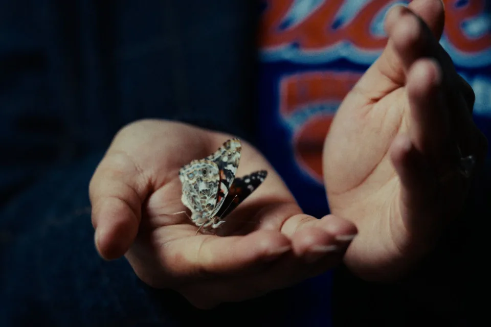 A butterfly rests on an open palm, another hand curved beside it. The film opens on YouTube.